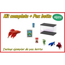Kit competo + pez luchador betta